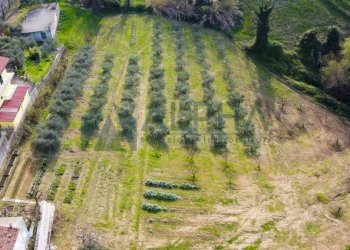 Terreno - Terreno edificabile via Fontana, Roncofreddo - foto 1