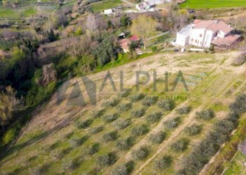 Vista - Terreno edificabile via Fontana, Roncofreddo - foto 3