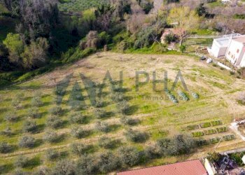 Terreno - Terreno edificabile via Fontana, Roncofreddo - foto 4