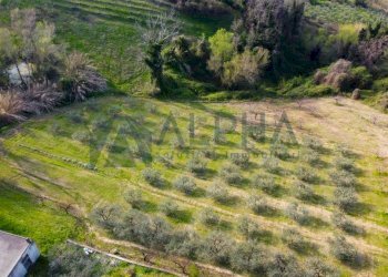 Terreno - Terreno edificabile via Fontana, Roncofreddo - foto 5