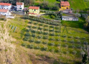 Terreno - Terreno edificabile via Fontana, Roncofreddo - foto 6