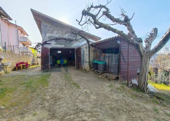 Giardino - Terreno edificabile via Fontana, Roncofreddo - foto 7