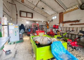 Magazzino - Terreno edificabile via Fontana, Roncofreddo - foto 8