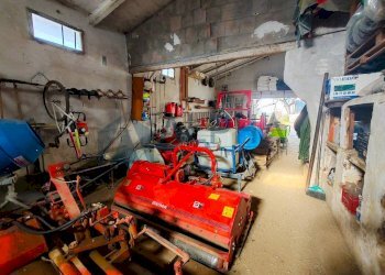 Cantina - Terreno edificabile via Fontana, Roncofreddo - foto 9