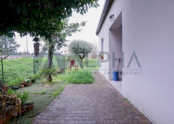 Giardino - Villa via Ragone, Ravenna (neighborhood San Pietro in Vincoli) - photo 30