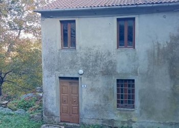 Azienda agricola Via Pignoli e Valli, Castiglione dei Pepoli - foto 3
