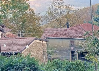 Azienda agricola Via Pignoli e Valli, Castiglione dei Pepoli - foto 6