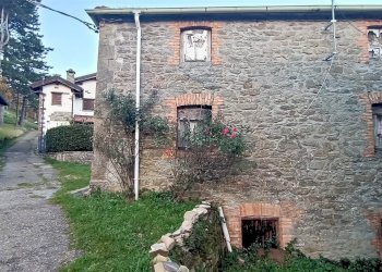 Azienda agricola Via Pignoli e Valli, Castiglione dei Pepoli - foto 7