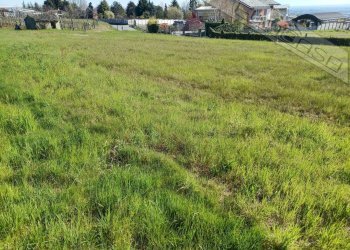 Terreno edificabile Via Carlo Alberto snc, Barge - foto 21