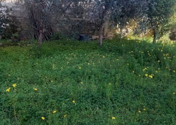 9a2425c9-18d6-442c-af7a-ad86549e7c69.jpg - Terraced Villa Castelvetrano - photo 17