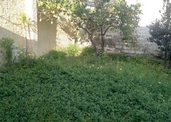 9de8be6f-5ef1-48c4-a1f2-1ebdb25bd557.jpg - Terraced Villa Castelvetrano - photo 18