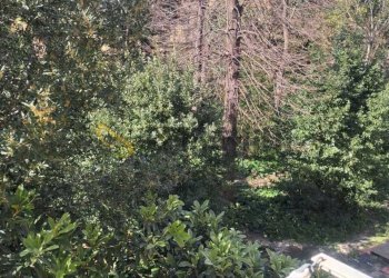 VISTA INTERNA.jpeg - Appartamento Via Chiellini 89, Livorno - foto 11