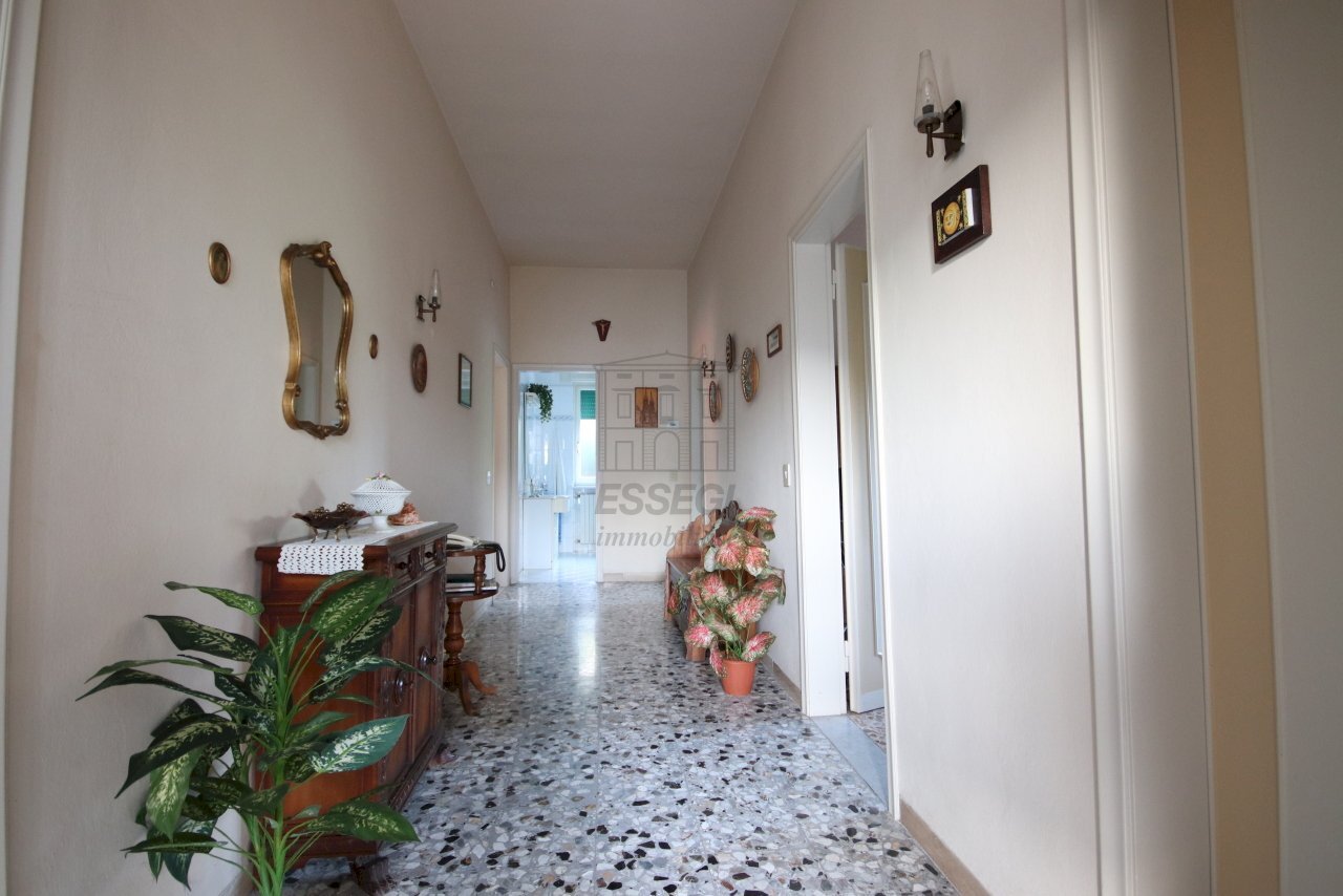 VILLA SINGOLA SU UN UNICO LIVELLO (6).JPG - Villa Via di Tiglio 529A, Capannori - foto 3