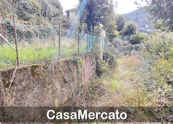 t3.jpg - Trilocale Via Ovidio, Rocca di Papa - foto 23