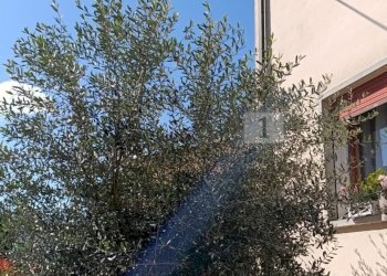 9e.jpeg - Villa a Schiera Piazza Umberto I', Albettone - foto 20