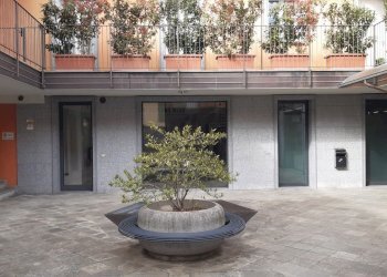 20260401_162932.jpg - Abbigliamento - Intimo Largo Guido Camussi, Gallarate - foto 10