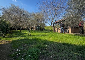 Villa Santo Stefano di Magra - foto 6