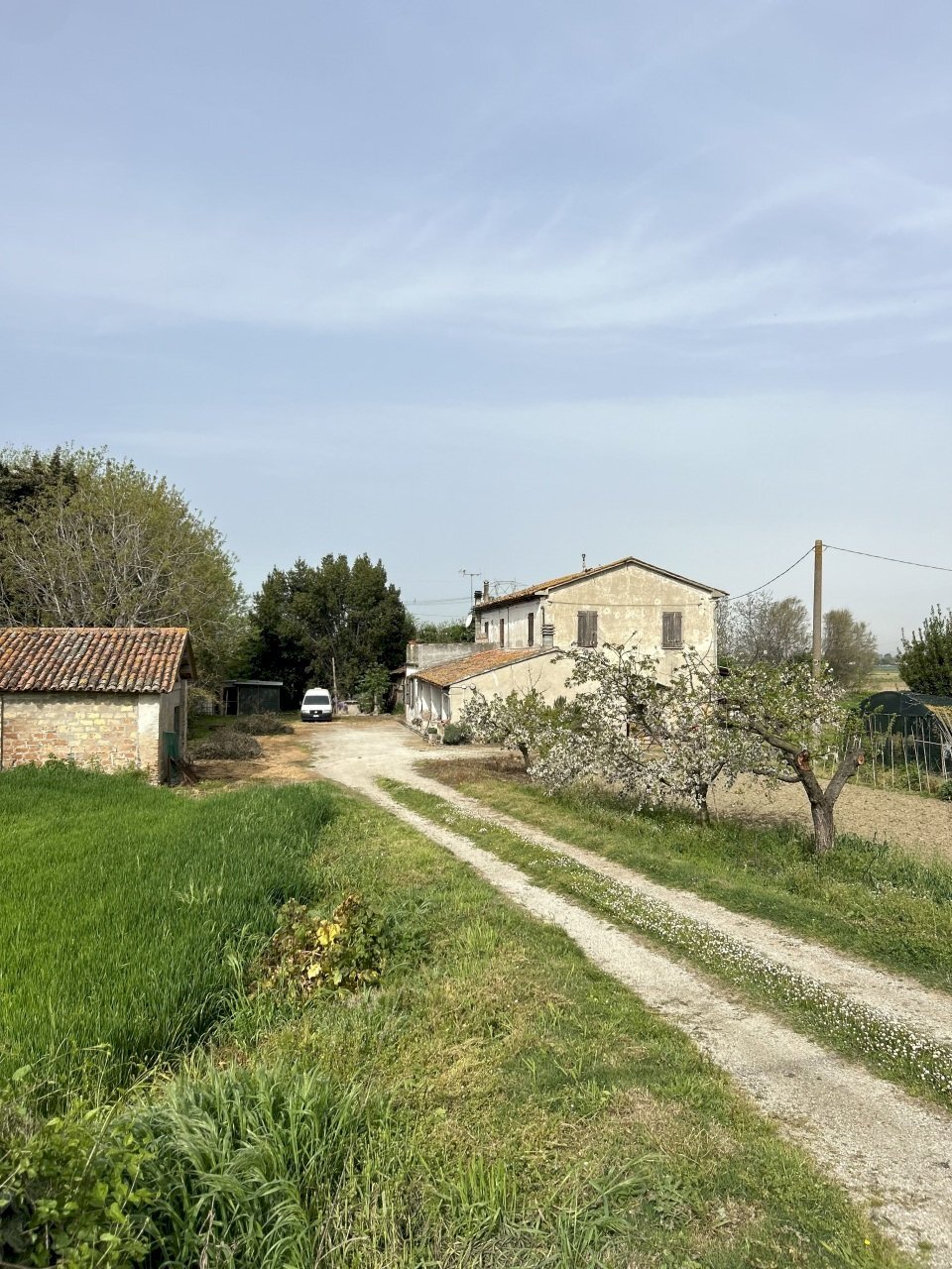 IMG_1444.jpg - Casale Via Rubicone Sinistra 17, Gatteo - foto 1