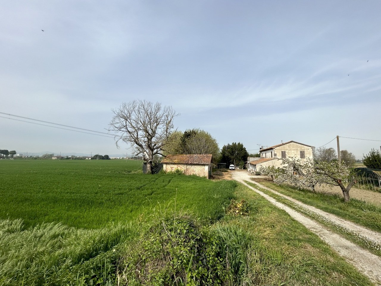 IMG_1445.jpg - Casale Via Rubicone Sinistra 17, Gatteo - foto 2