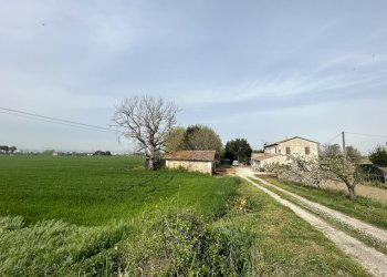 IMG_1445.jpg - Casale Via Rubicone Sinistra 17, Gatteo - foto 2