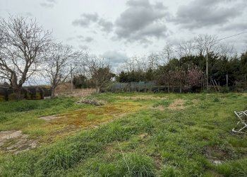 72ea13b8-3c53-43d5-98cf-0d69457a3dc1.jpg - Casale Via Rubicone Sinistra 17, Gatteo - foto 14