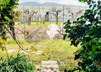 WhatsApp Image 2026-03-25 at 21.59.15.jpeg - Porzione di casa Via della Crociata snc, Sarzana - foto 6