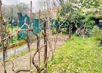 WhatsApp Image 2026-03-25 at 21.59.14 (7).jpeg - Porzione di casa Via della Crociata snc, Sarzana - foto 11