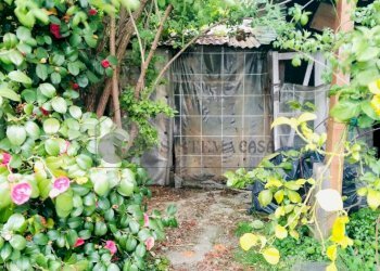 WhatsApp Image 2026-03-25 at 21.59.14 (2).jpeg - Porzione di casa Via della Crociata snc, Sarzana - foto 12