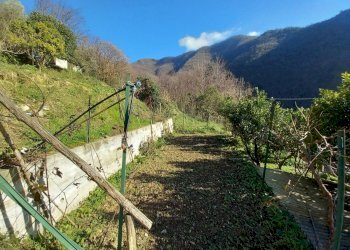 019 - Giardino.jpg - Porzione di casa Avegno - foto 20