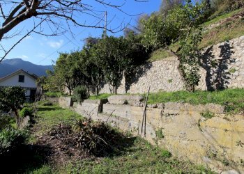 021 - Giardino.jpg - Porzione di casa Avegno - foto 22