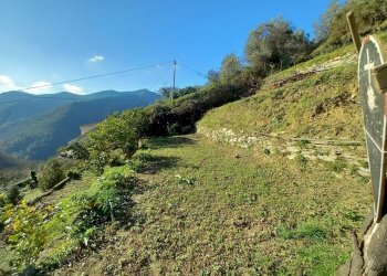 022 - Giardino.jpg - Porzione di casa Avegno - foto 23