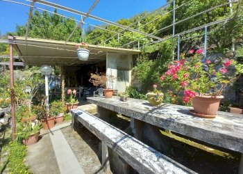 018 - Giardino.jpg - Portion of a house Avegno - photo 19