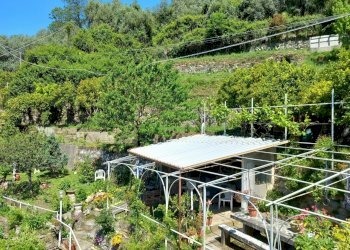 021b - Giardino.jpg - Portion of a house Avegno - photo 25