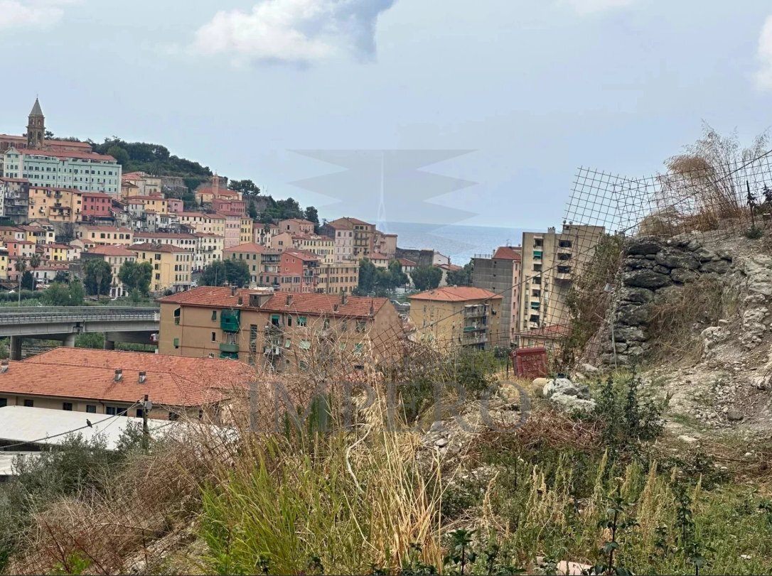 terreno - Terreno agricolo Via Monsignor Nicolò Peitavino, Ventimiglia - foto 2