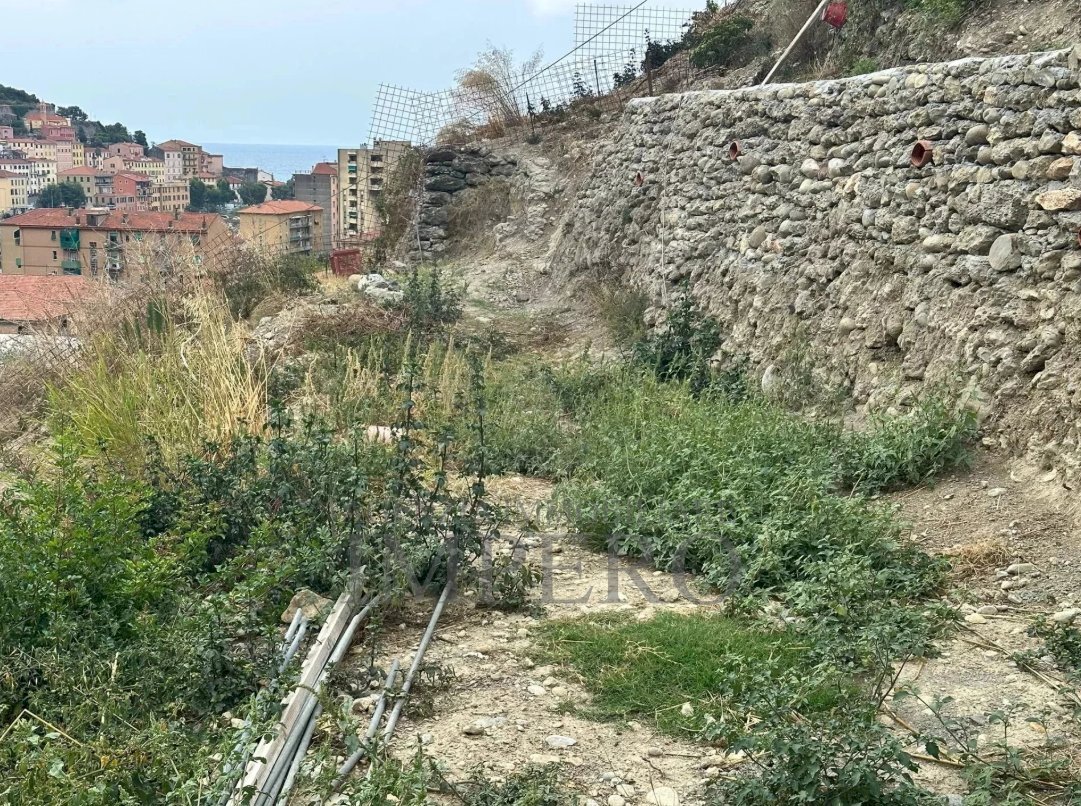 terreno - Terreno agricolo Via Monsignor Nicolò Peitavino, Ventimiglia - foto 3