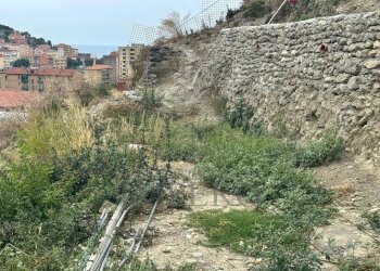 terreno - Terreno agricolo Via Monsignor Nicolò Peitavino, Ventimiglia - foto 3