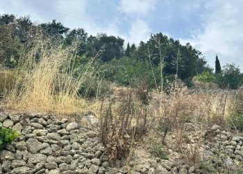 terreno - Terreno agricolo Via Monsignor Nicolò Peitavino, Ventimiglia - foto 4