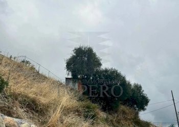 terreno - Terreno agricolo Via Monsignor Nicolò Peitavino, Ventimiglia - foto 5