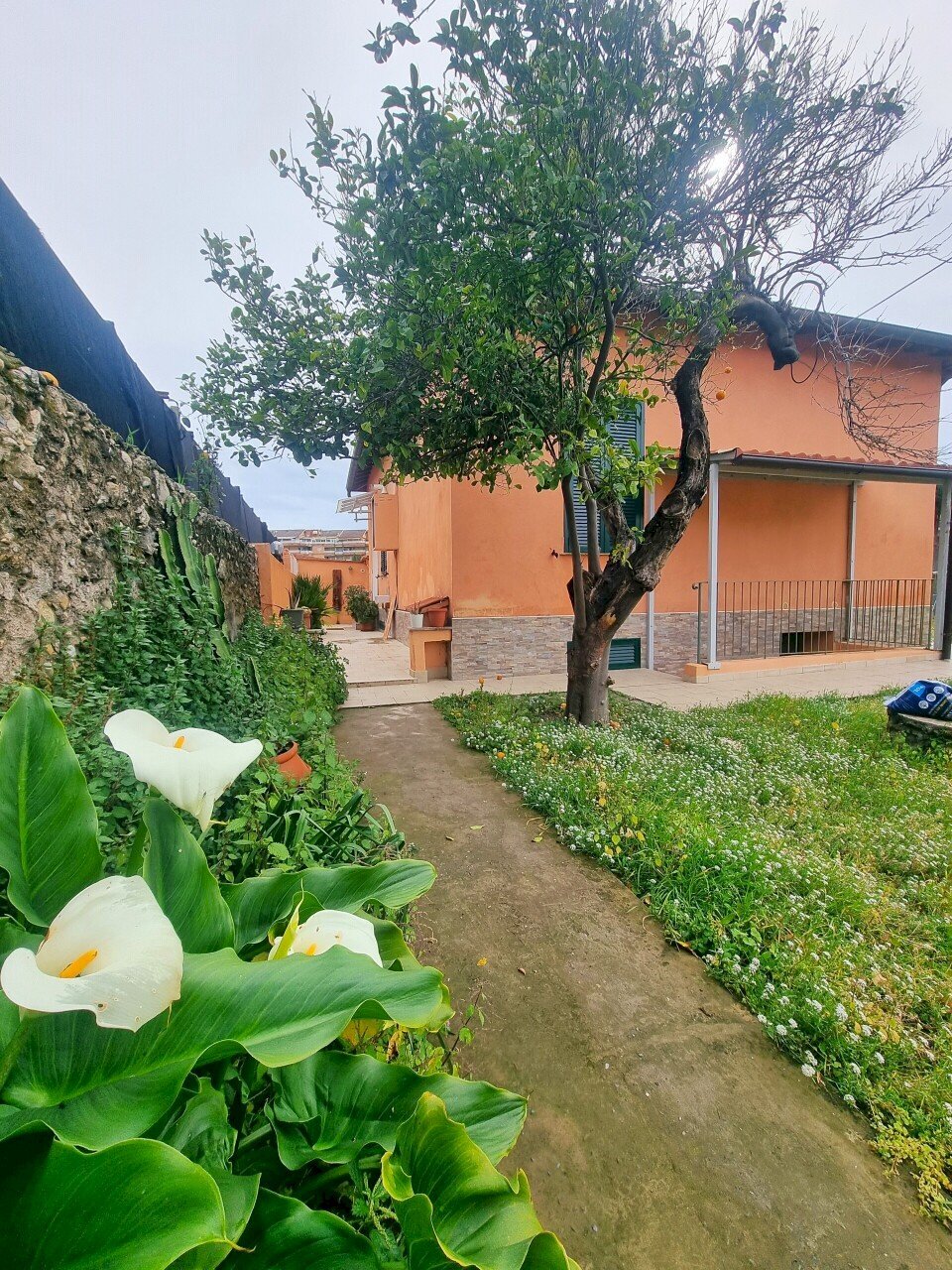 20250312_102954.jpg - Casa indipendente Via alla Spiaggia 21, Ventimiglia - foto 2