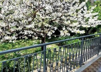 WhatsApp Image 2026-04-24 at 17.14.04.jpeg - Bilocale Via Dante Alighieri, Sanremo - foto 19