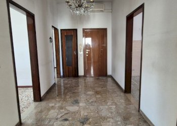 20260328_121608(1).jpg - Appartamento Via Giuseppe Gioacchino Belli 54, Modena - foto 11