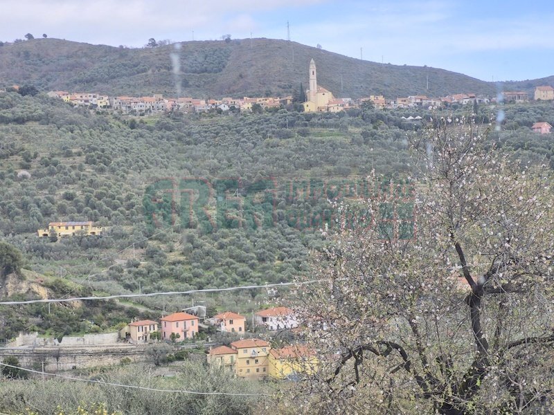 20260219_150137.jpg - Villa Via Papa Giovanni XXIII, Imperia - photo 3