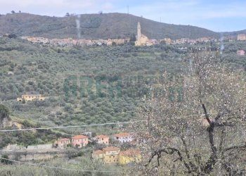 20260219_150137.jpg - Villa Via Papa Giovanni XXIII, Imperia - foto 3