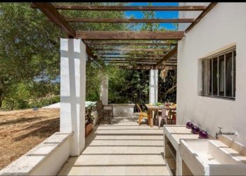 a34138d5-3bd1-4ddb-9c70-9fe91d6c342e.JPG - Villa Contrada Sessana snc, Ostuni - foto 4