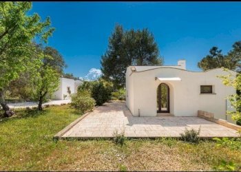 4161910a-6780-4c00-a766-d99706ed7475.JPG - Villa Contrada Sessana snc, Ostuni - foto 13