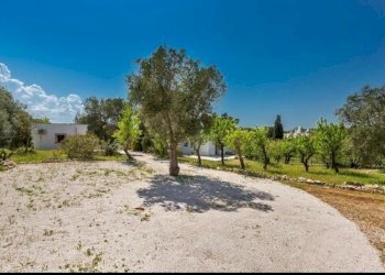 086c3c2e-e60c-4bb8-97f1-63203bf4ede1.JPG - Villa Contrada Sessana snc, Ostuni - foto 15