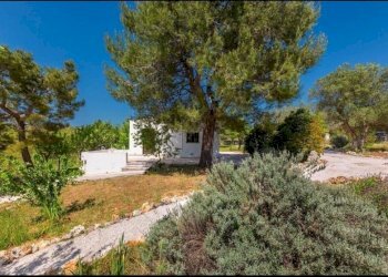 f81ee0ae-6204-439c-9836-bbf6b980aa1f.JPG - Villa Contrada Sessana snc, Ostuni - foto 18