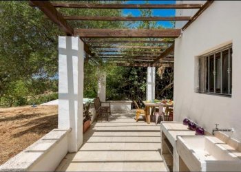 c507da50-9bb0-4c7d-92b9-87ab44bd47b4.JPG - Villa Contrada Sessana snc, Ostuni - foto 24