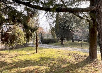 Rif 1879 (19).JPEG - Villa Villaggio 207, Ponzone - foto 7