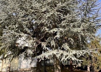 Rif 1879 (15).JPEG - Villa Villaggio 207, Ponzone - foto 12